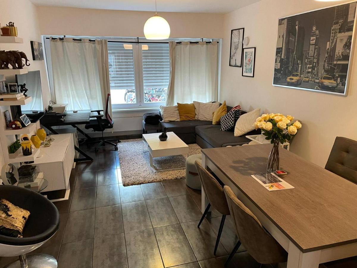 Modern With Garden In Antwerp, 15min From Center Anvers